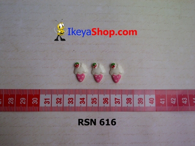 rsn 616  large2